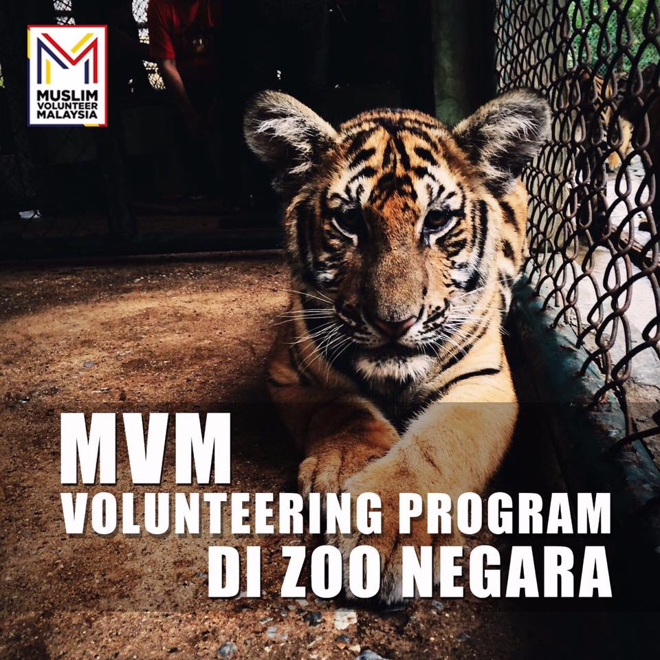 Volunteer Zoo Negara